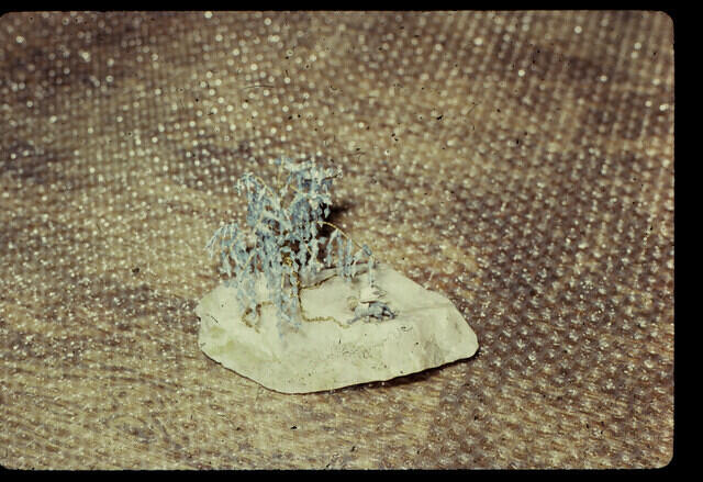 jim28-slide09
