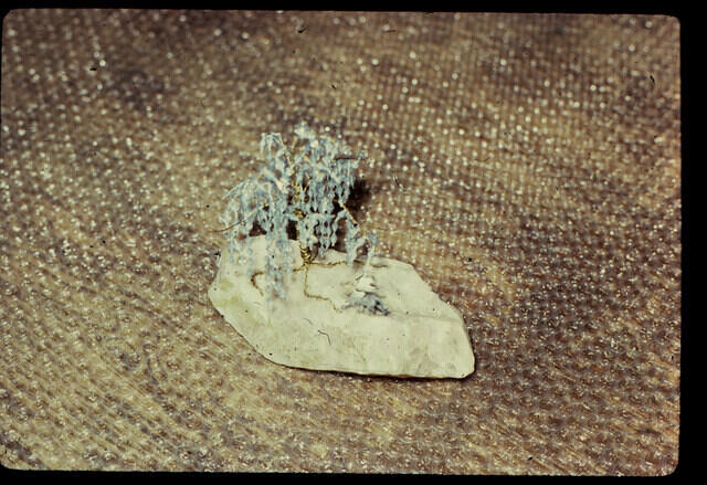 jim28-slide10