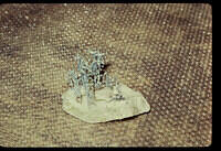jim28-slide09